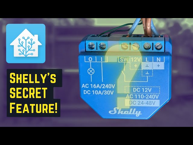 Shelly 1 Plus: The Swiss Army Knife of Home Automation!