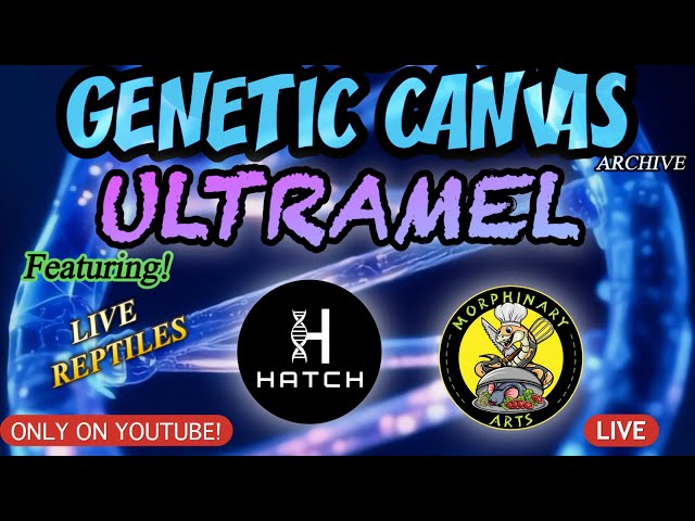 GENETIC CANVAS- ULTRAMEL Ball Python Morph Showcase featuring Hatch Reptiles & Morphinary Arts 