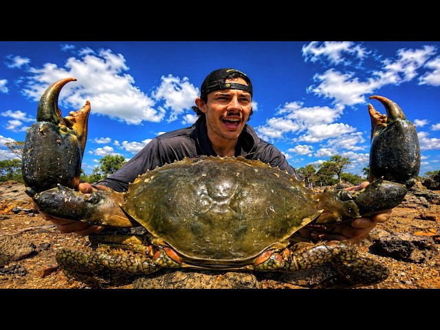 GIANT MUD CRAB Catch & Cook on the Fire!