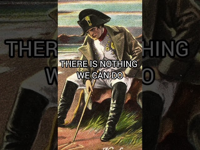 Napoleon Meme #edit #meme  #napoleon #thereisnothingwecando  #techwithcode