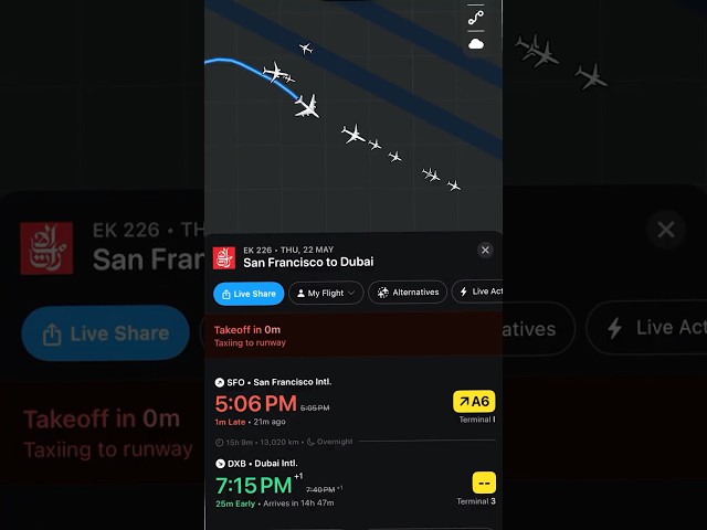 How to track your flights! Flighty #travel #hacks