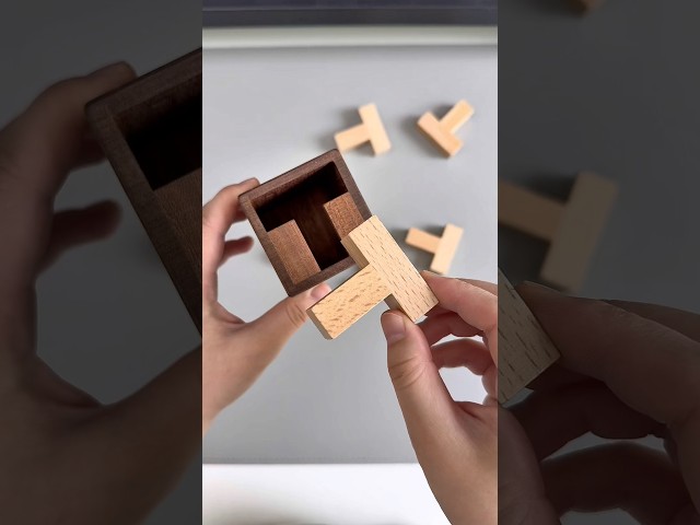 Can you fit all the T-shaped pieces in? #BrainTeaser #BuildingBlocks #puzzletoy