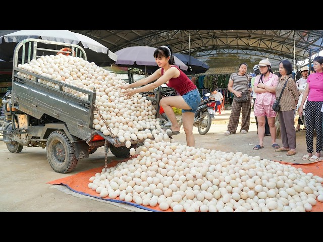 [TIMELAPSE] -- 365 Days Harvesting A Lot Of Duck Eggs, Duckling, Chicken Eggs and Chicken Go To Sell