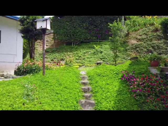 Kota Kinabalu #Kinabalu Pine 🌲 Resort | Rest and be thankful