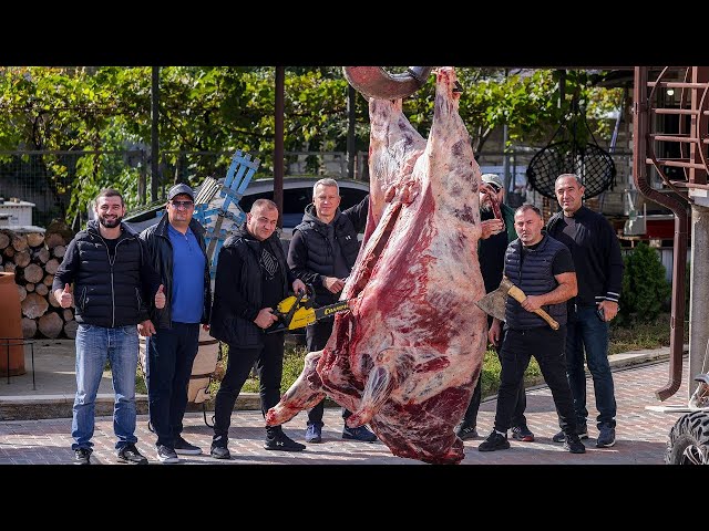 Cocinar un enorme BUFFALO 500 kg | Carne de toro asada | Carne de res en salsa