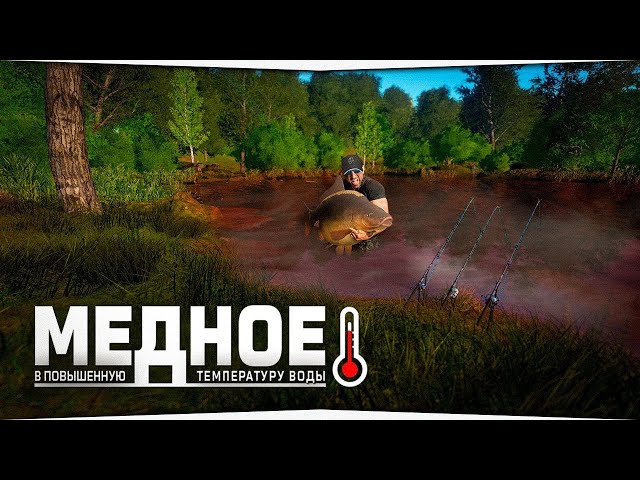 МЕДНОЕ, фарм в повышенную температуру  РР4