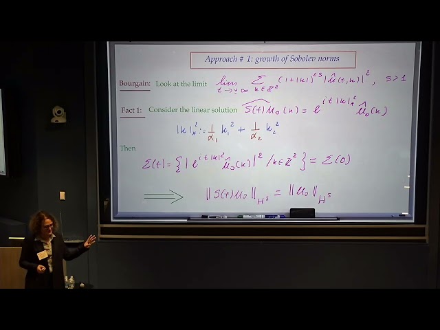 Gigliola Staffilani: Some Mathematically Rigorous Results in Wave Turbulence Theory (Dec. 4, 2025)