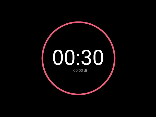 30 Second Countdown Timer / iPhone Timer Style