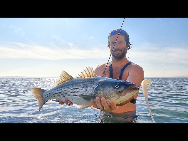 Striper Fishing with the Super Snax Soft Plastic Lure