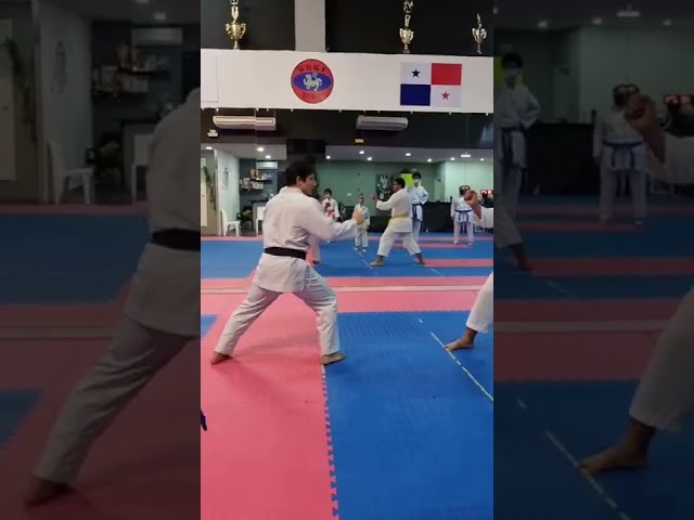 YOKO GERI Technique