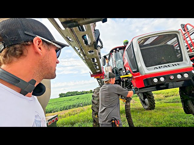 Our Soybeans Are TALLER Than Ever! Will Fungicide Protect Them?