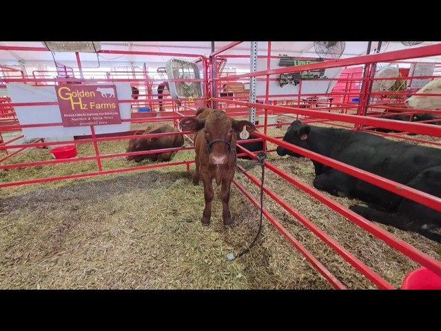 Iowa State Fair Day 7: What's on tap, a recap of Day 6