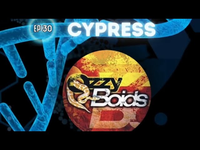 THE GENETIC CANVAS- Cypress Ball Python Mutation -EP34 Featuring OZZY BOIDS