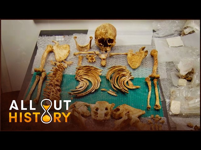 Scientists Tracked Ancient DNA 10,000 Years into the Past