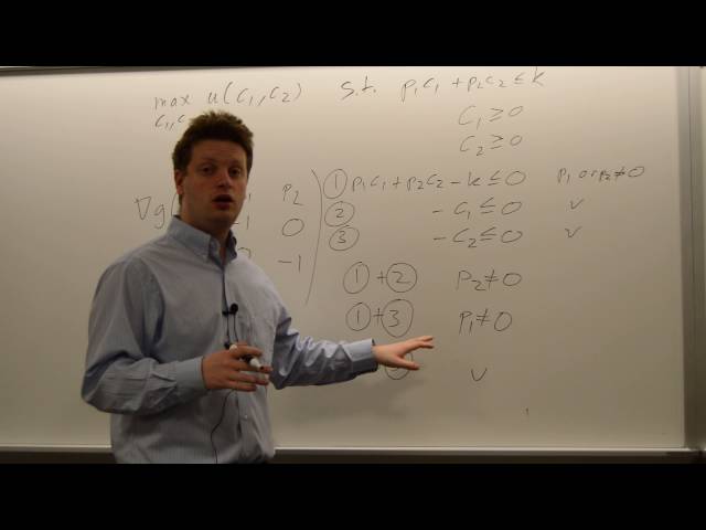 Checking the Constraint Qualification