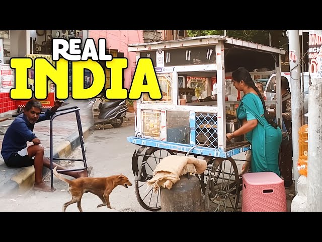 You Won’t Believe This is Daily Life in India - Walking Tour 4K 🇮🇳