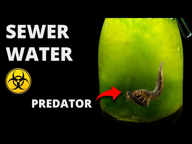 I Put Sewer Water in a Jar, 100 Days Later THIS Appeared!