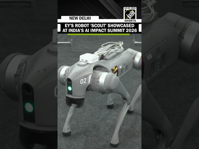 EY Booth’s robot nicknamed ‘Scout’ showcased at Ai Impact Summit 2026