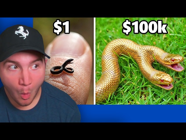 $1 vs $100,000 Pet Snake