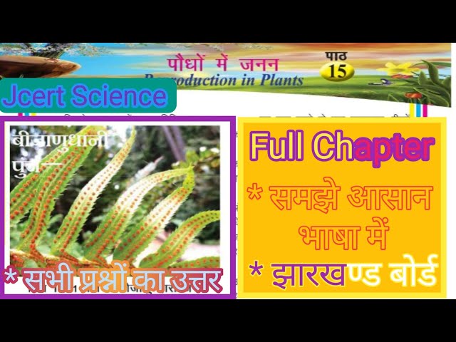 Class 7th science chapter 15 questions answer jac board