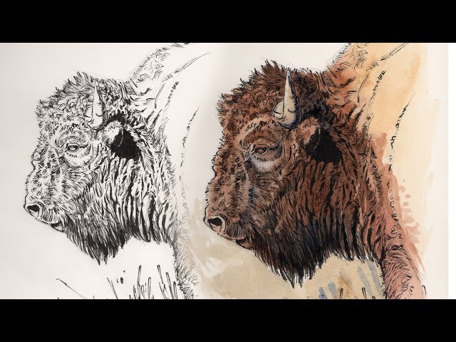Painting - Adding Watercolor To Your Ink Drawings