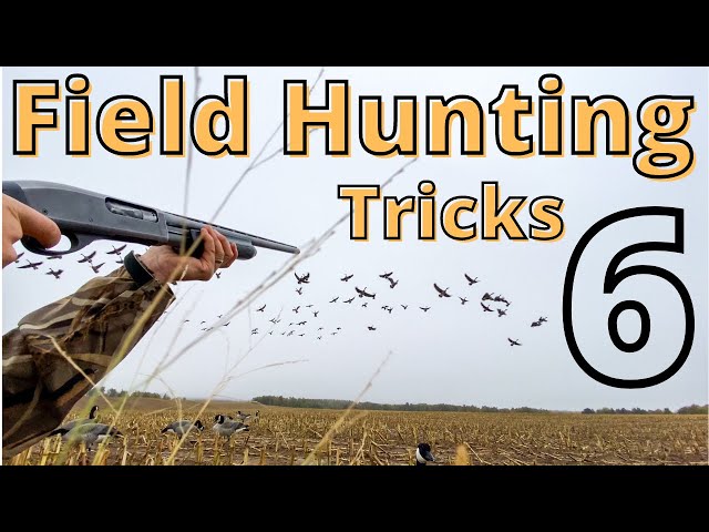 6 Ways to Fool More Geese Next Time You Set Up A Decoy Spread (#6 is a MUST!)