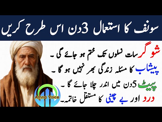 Motivational Islamic Quotes | Golden Words | Rumi Quotes | Hazrat Ali Quotes | Quotes About life