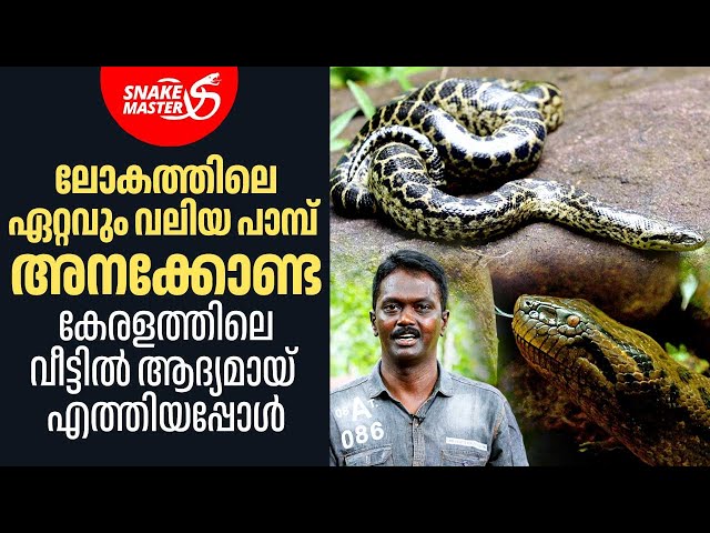അനക്കോണ്ട കേരളത്തിലെ വീട്ടിൽ ആദ്യമായ് എത്തിയപ്പോൾ | Anaconda | Vava Suresh | Snakemaster 1102