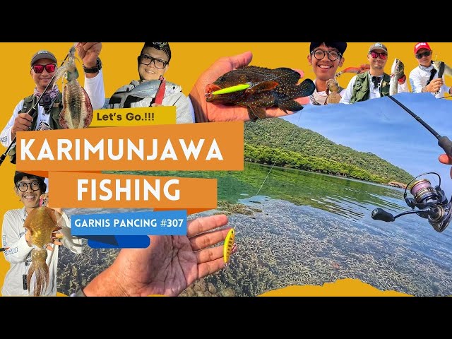 FISHING HERE IS VERY EASY‼️😍 THE WATER IS CLEAR, YOU CAN SEE ALL THE FISHES‼️KARIMUNJAWA FISHING ...