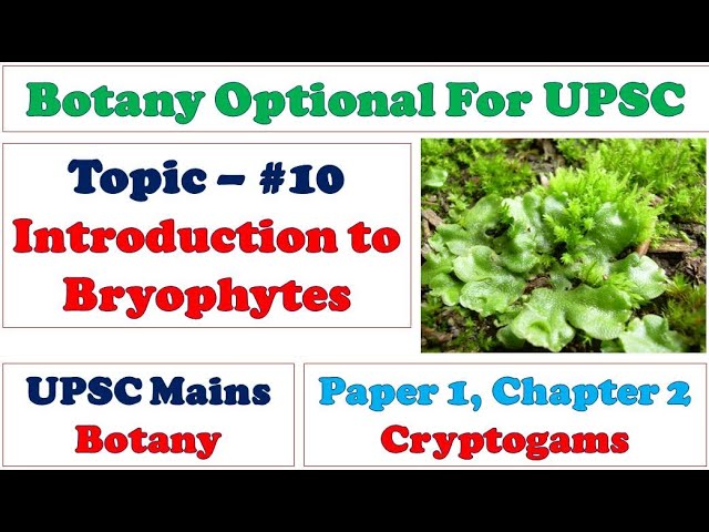 Introduction to Bryophytes: Habit: Habitat: Structure: Reproduction: Classification: Importance