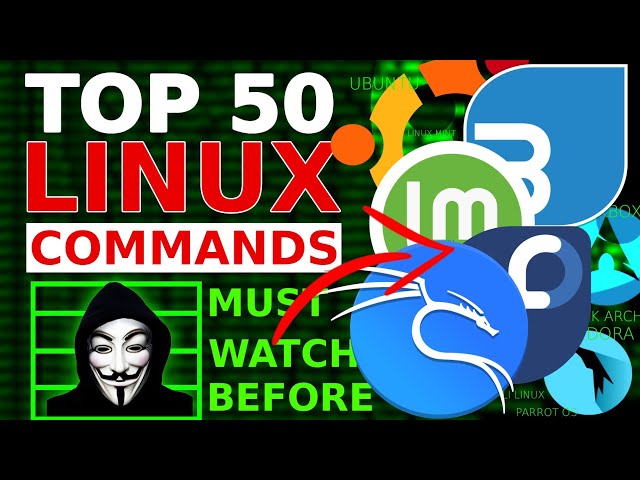 Daily Use Linux Commands: From Beginner to Pro
