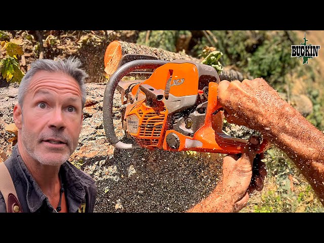 This Might Be the Only Chainsaw You Need