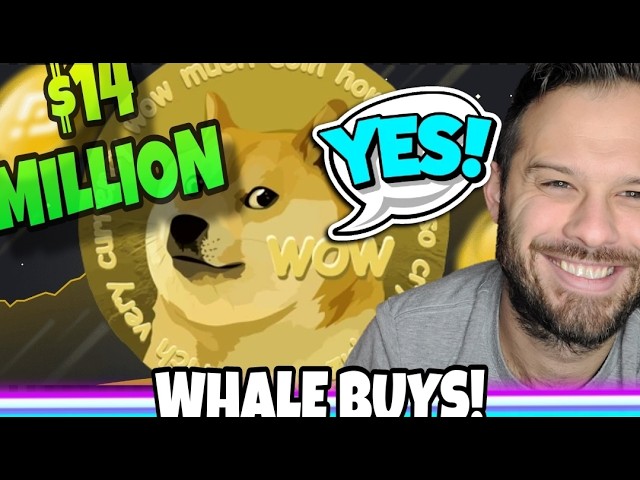 Dogecoin Turns Bullish As Whales Buy $14 Million Worth Of The Meme Coin! Crypto Analysis!