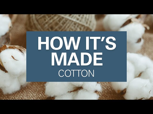 How Cotton Is Grown and Harvested | Where Cotton Fabric Comes From