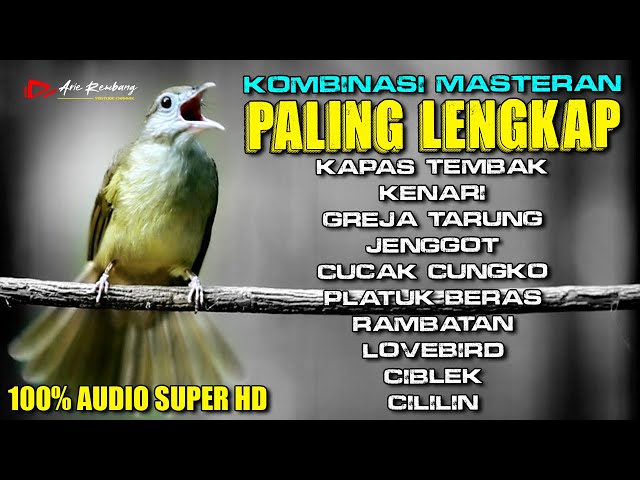 KOMBINASI MASTERAN PALING LENGKAP DAN PALING JERNIH AUDIONYA