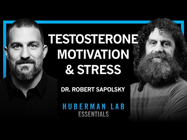 Essentials: Science of Stress, Testosterone, Aggression & Motivation | Dr. Robert Sapolsky