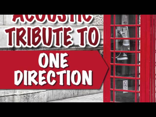 What Makes You Beautiful - One Direction Acoustic Tribute