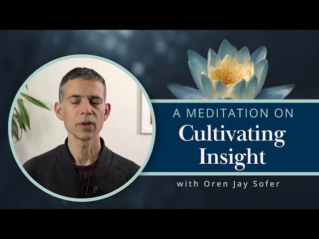 A Meditation on Cultivating Insight with Oren Jay Sofer