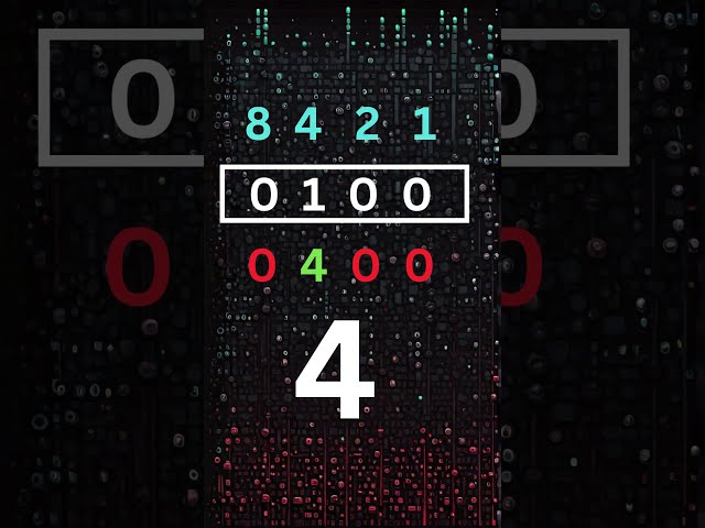 Learn BINARY in SECONDS 00110000