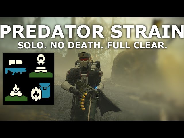 Helldivers 2: This Loadout Just Works | Predator Strain | Solo Full Clear No Death | Super Helldive