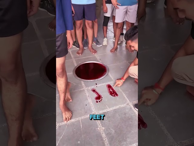 This Foot Test Decides Your Military Future 😳