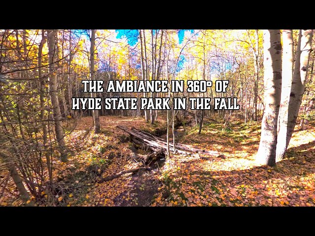The Ambiance in 360° of Hyde State Park in the Fall