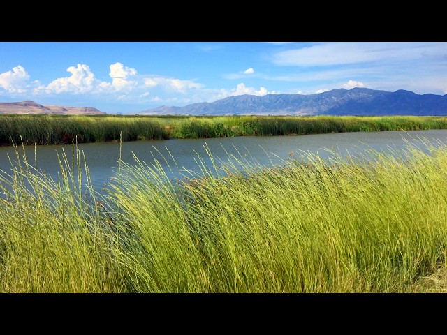Montana Wilderness, Beautiful Relaxing Music, Peaceful Soothing Instrumental Music, by Tim Janis