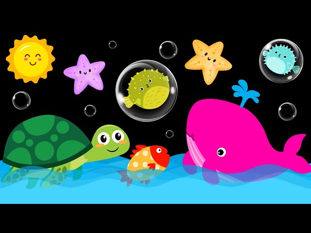 Baby Sensory Video - High Contrast - Sensory Videos for Babies - Visual Stimulation for Newborn