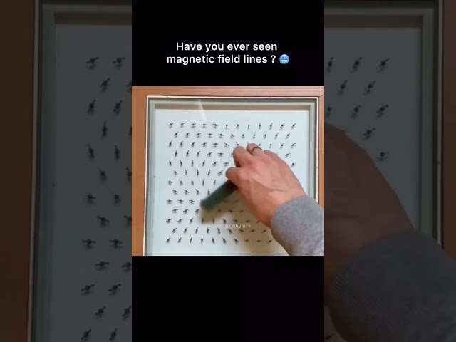 😱Have you ever seen magnetic field lines?   || magnetic poles #magnet #physics