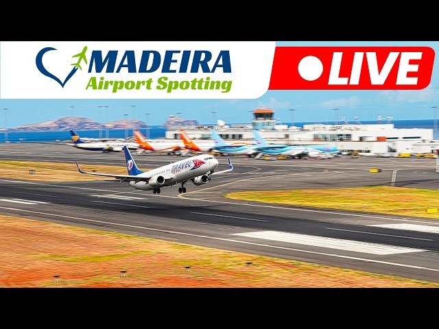 LIVE Action at Madeira Island Airport 28.08.2026