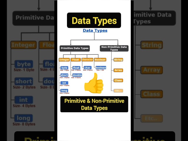 Data Types in Java | Basics of Data Types | Primitive and Non Primitive Data Types in Java