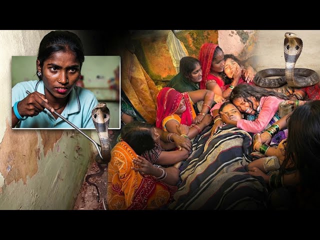 सांप के डंसते ही घर में मचा कोहराम, रोंगटे खड़े कर देने वाला वीडियो!