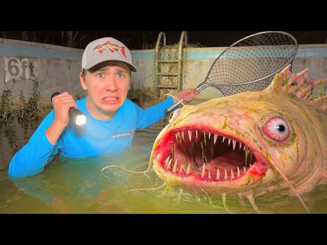 I Found Deadly Fish in an Abandoned Pool…