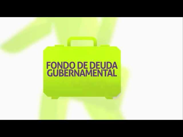 ¿Qué son los Fondos de Deuda Gubernamental?